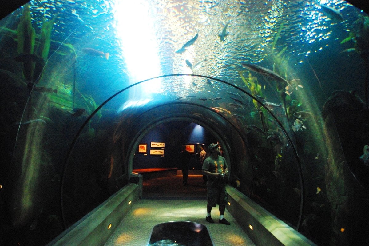 Oregon Coast Aquarium - Gallery Image 1
